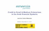 Overview of Arab Financial Systems
