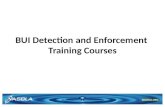 Nonprofit Grant: NASBLA - BUI Detection and Enforcement Training Courses