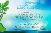 Cambio climatico - Cuenca rio las Ceibas