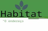 Habitat, Nicho ecológico, Componentes do ecossistema, Cadeia e Teia alimentar