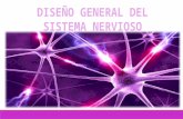 Sistema nervioso generalidades (1)