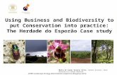 Using Business and Biodiversity to put Conservation into practice: The Herdade do Esporão Case study