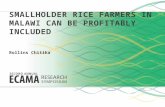 Smallholder Rice Farmers in Malawi Can be Profitably Included