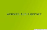 Importance of website audit