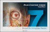 L'Atlas d'anatomie humaine de Visible Body pour tablette Android