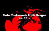 Clube de Taekwondo Little Dragon - Ano 2014