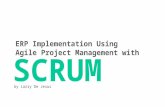 ERP Implementation Using Agile Project Management with Scrum