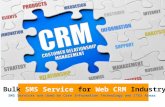Bulk SMS Service for Web CRM Industry