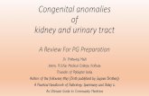Congenital anomalies of kidney and urinary tract