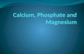 4. calcium phosphate magnesium