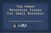 Top Human Resources Issues For Small Business