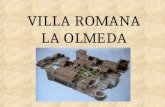 Villa romana La Olmeda