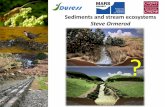 Siltflux workshop 1: Sediments and stream ecosystems - Steve Ormerod