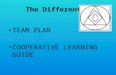 Cooperative learning THE DIFFERENTS