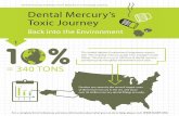 Dental Mercury's Toxic Journey Back Into The Environment