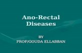 ,Lectures ano-rectal