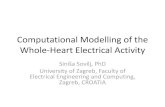 Computational Modeling of the Whole-Heart Electrical Activity (ppt; © Sinisa Sovilj)