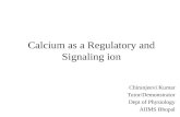 Calcium as a Regulatory and Signalling ion