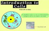 Cell biology | introduction to cell