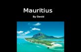 Mauritius by David