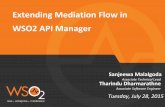 Extending Mediation Flow in WSO2 API Manager
