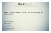 Presentación 2 blacktropic (segunda entrega)