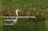 Los Katíos National Park, Colombia comes off the List of World Heritage in Danger