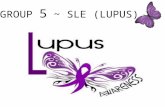 Systemic lupus erythematosus @ SLE @ Lupus - Komunikasi Kesihatan