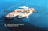 Exxon valdez oil spill