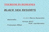 Marcu Ruxandra Black Sea Resort