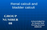 renal and bladder calculi