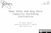 Open Data and Big Data Capacity Building Initiative