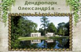 Дендропарк Олександрія – перлина України