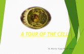 Cell and its constituents