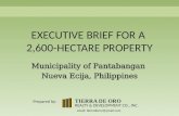 Executive Brief - 2,600 hectare property in Pantabangan, Nueva Ecija
