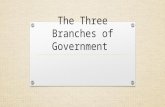 Threebranchesofgovernment assure