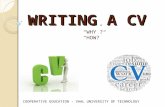 Cv writing skills workshop slides 17 february 2015 (2)