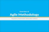Overview of agile methodology