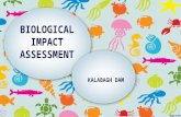 Biological impact assessment of kalabagh dam