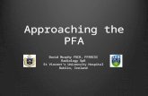 Approach to PFA Interpretation