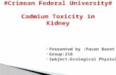 Cadmium toxicity
