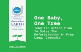 One Baby, One Tree- Team 10 Action Plan