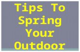 Tips To Spring Your Outdoor Space