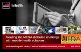 ueda2013 mobile health solutions-d.michael