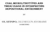 COAL MICROLITHOTYPES AND THEIR USAGE IN INTERPRETING DEPOSITION ENVIRONMENT
