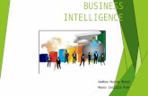 Business intelligence (1)