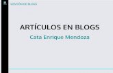 Fran bravo gestión de presencia en internet - BLOGS - Cata Enrique Mendoza