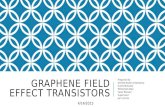 Graphene Field Effect Transistor