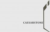 Caesarstone - 2020 Petrol Garage
