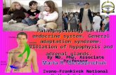 Endocrine system. hypophysis